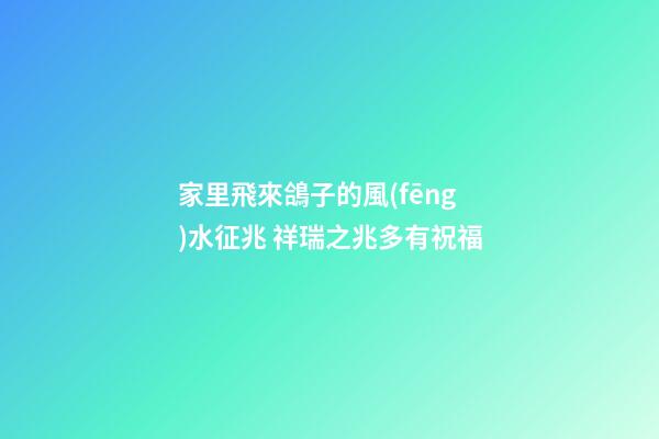 家里飛來鴿子的風(fēng)水征兆 祥瑞之兆多有祝福